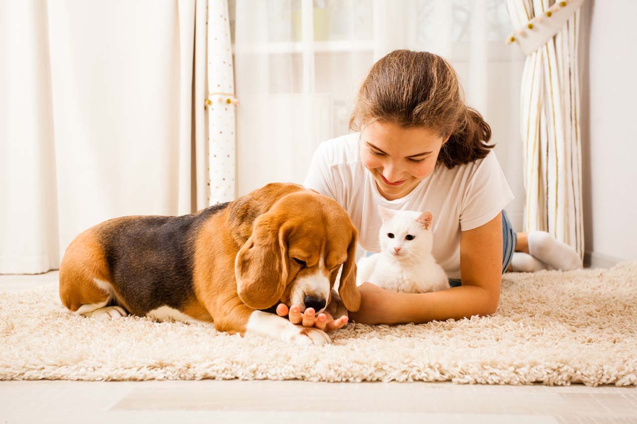 Pet Sitter with Dog